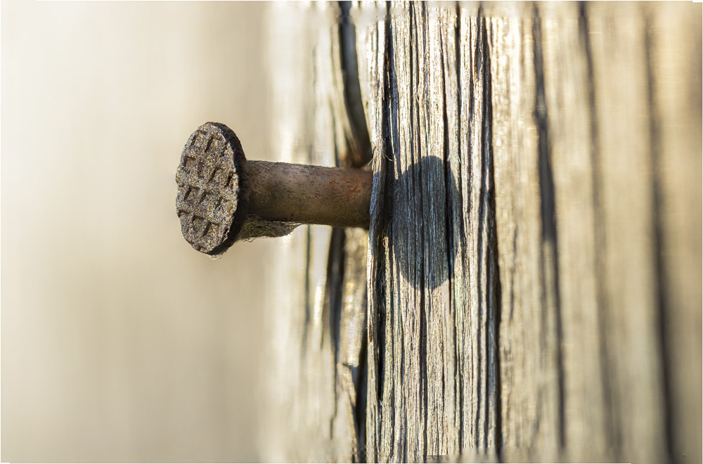 Platz 5 Conny Kleiner